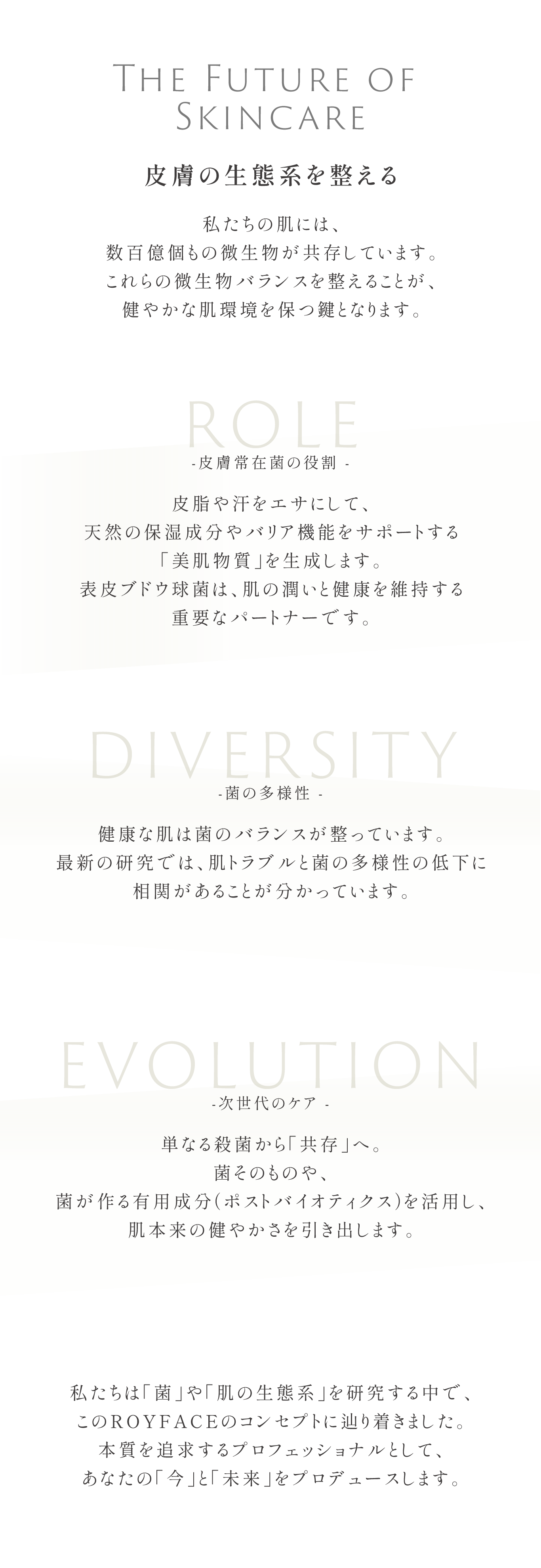 ROYTOPイメージ画像